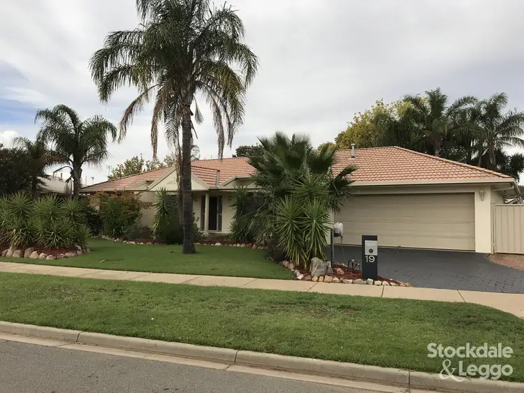 Main view of Homely house listing, 19 Gordon Drive, Kialla VIC 3631