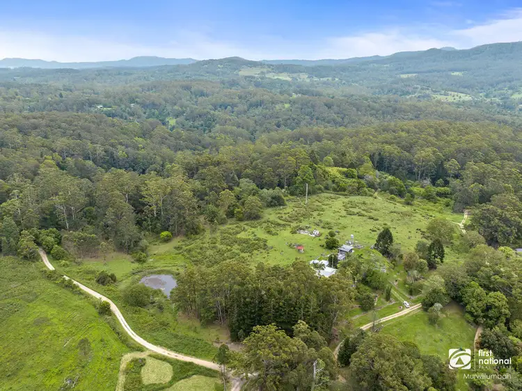 438 Mount Burrell Road, Mount Burrell NSW 2484