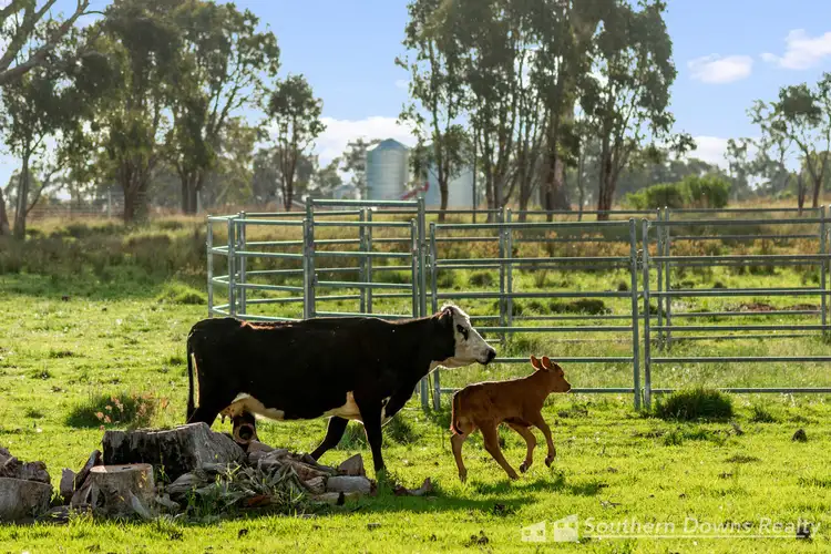 Fourth view of Homely rural property listing, 448 Mapes Road, Murrays Bridge QLD 4370