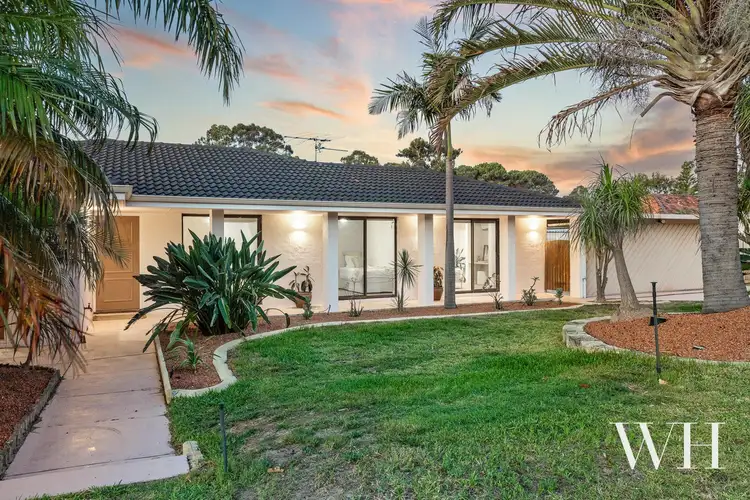 19 Passey Place, Kardinya WA 6163