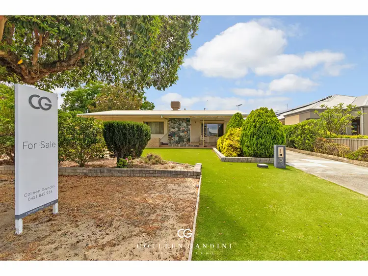 Main view of Homely house listing, 3 Lisa Place, Mount Pleasant WA 6153