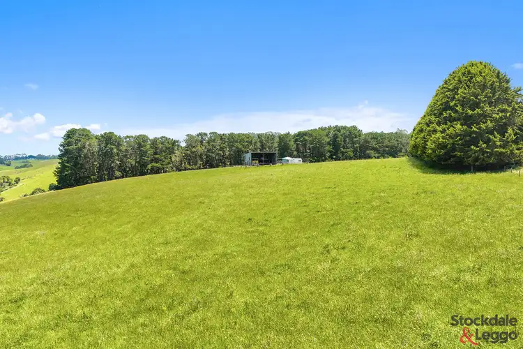 Main view of Homely rural property listing, 791 Clear Creek Road, Mirboo VIC 3871