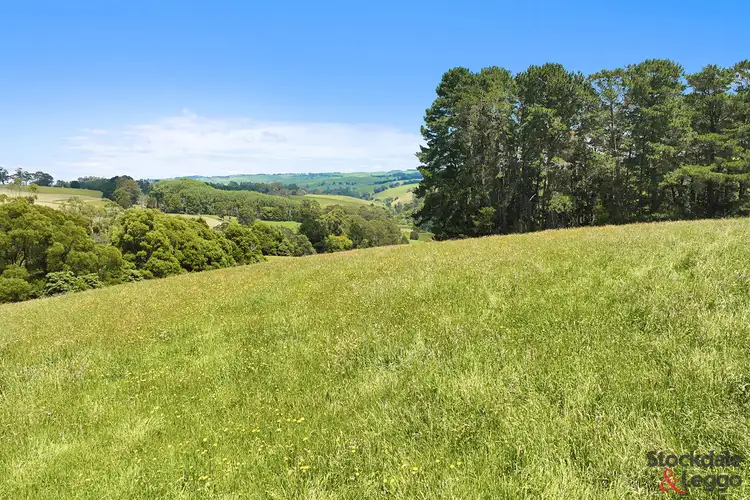 Second view of Homely rural property listing, 791 Clear Creek Road, Mirboo VIC 3871
