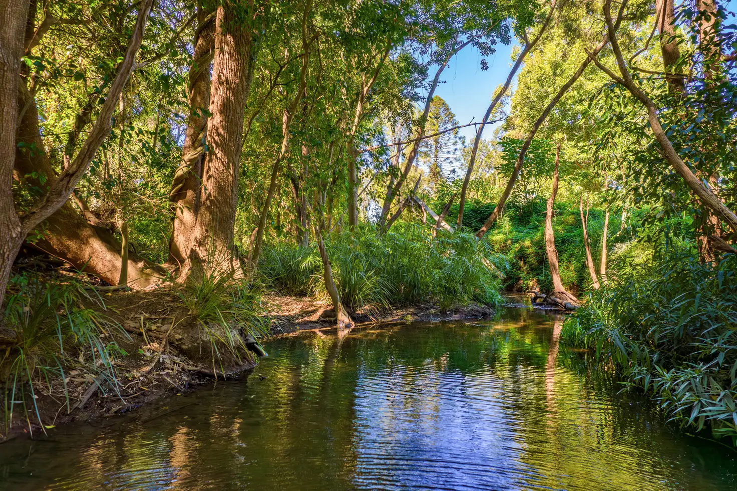 Main view of Homely land listing, 26 Fernvale Drive, Pie Creek QLD 4570