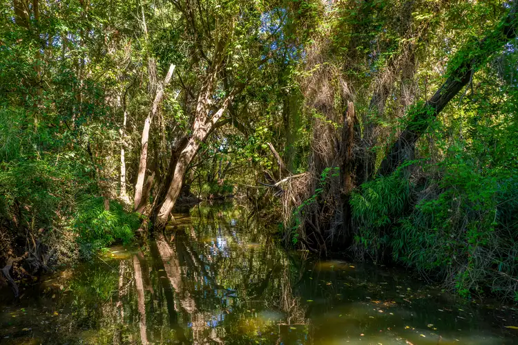 Sixth view of Homely land listing, 26 Fernvale Drive, Pie Creek QLD 4570