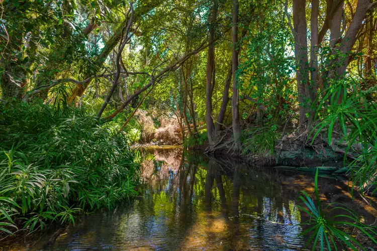 Seventh view of Homely land listing, 26 Fernvale Drive, Pie Creek QLD 4570