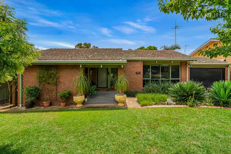 Main view of Homely house listing, 43 Alexander Street, Ashmont NSW 2650