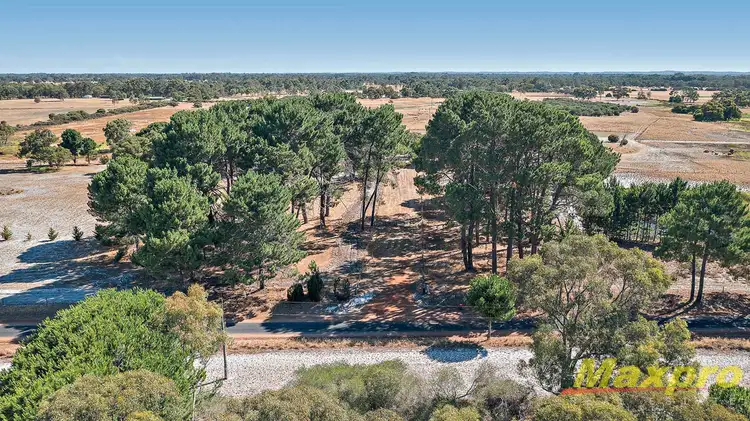 Fourth view of Homely rural property listing, 225 Paull Road, West Pinjarra WA 6208