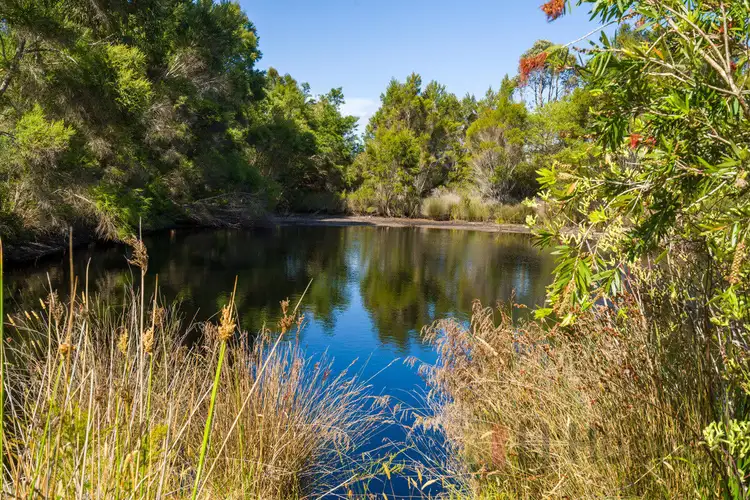 Third view of Homely rural property listing, 154 Jay Road (Northcliffe), Meerup WA 6262