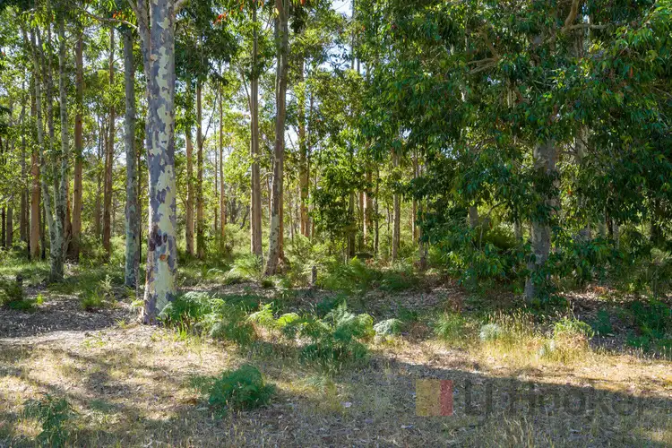 Fourth view of Homely rural property listing, 154 Jay Road (Northcliffe), Meerup WA 6262