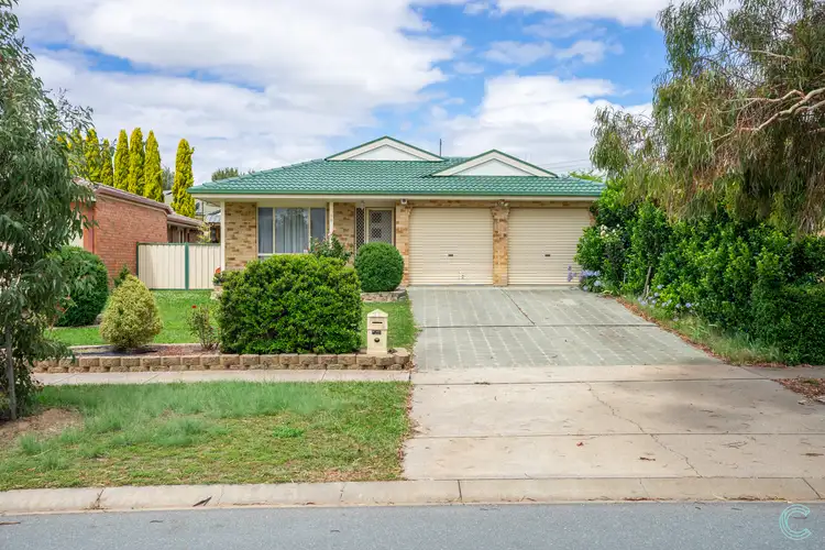 53 Traeger Street