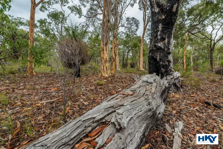 Sixth view of Homely land listing, 75 Sandalford Drive, Chittering WA 6084