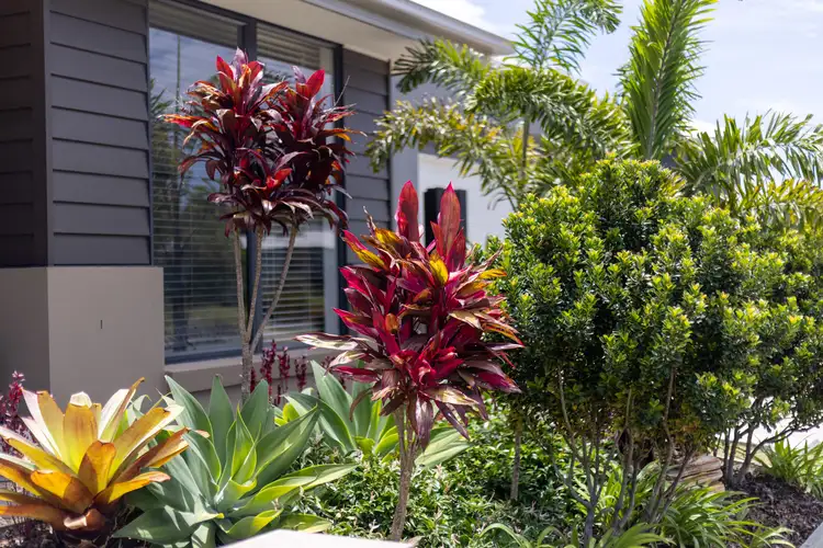 Third view of Homely house listing, 40 Mcarthur Parade, Baringa QLD 4551