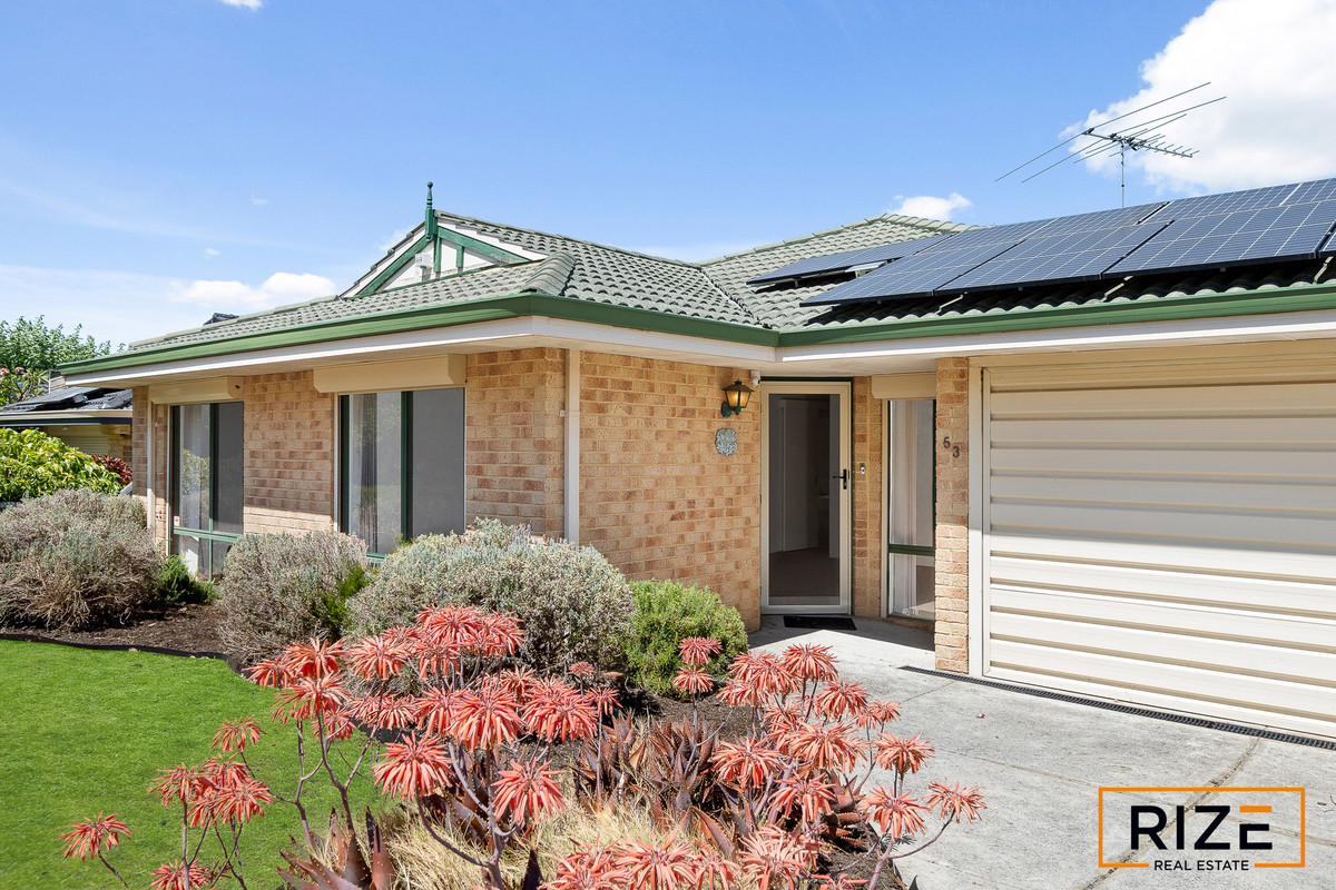 Main view of Homely house listing, 53 Celadon Loop, Banksia Grove WA 6031