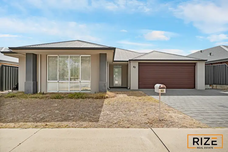 Second view of Homely house listing, 43 Glasshouse Drive, Banksia Grove WA 6031