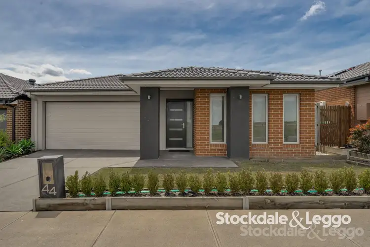 44 Picnic Avenue