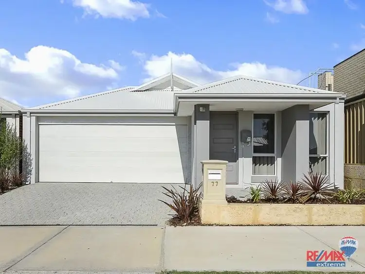 Main view of Homely house listing, 77 Hollington Boulevard, Butler WA 6036