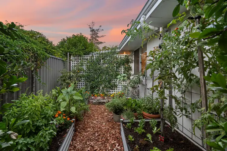 Fifth view of Homely house listing, 31A Tain Street, Applecross WA 6153