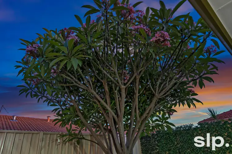 Fifth view of Homely unit listing, 1/14 Stedham Way, Balga WA 6061