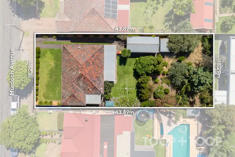 Second view of Homely house listing, 31 Murdoch Avenue, North Plympton SA 5037