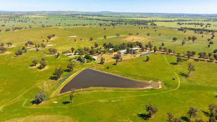 Spurrells Road, Pleasant Hills NSW 2658