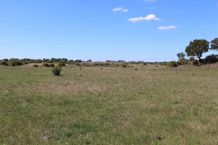 Fourth view of Homely rural property listing, 60 Lawlors Road, Dreeite South VIC 3249