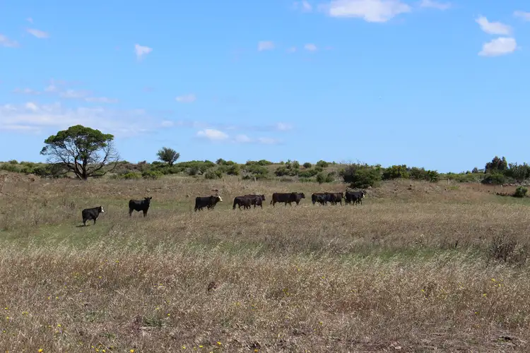 Sixth view of Homely rural property listing, 60 Lawlors Road, Dreeite South VIC 3249