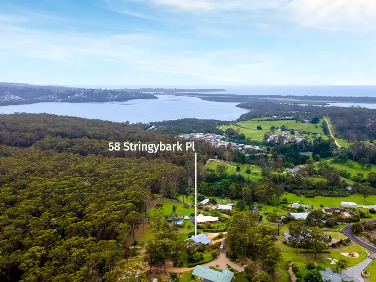 Second view of Homely house listing, 58 Stringybark Place, Millingandi NSW 2549