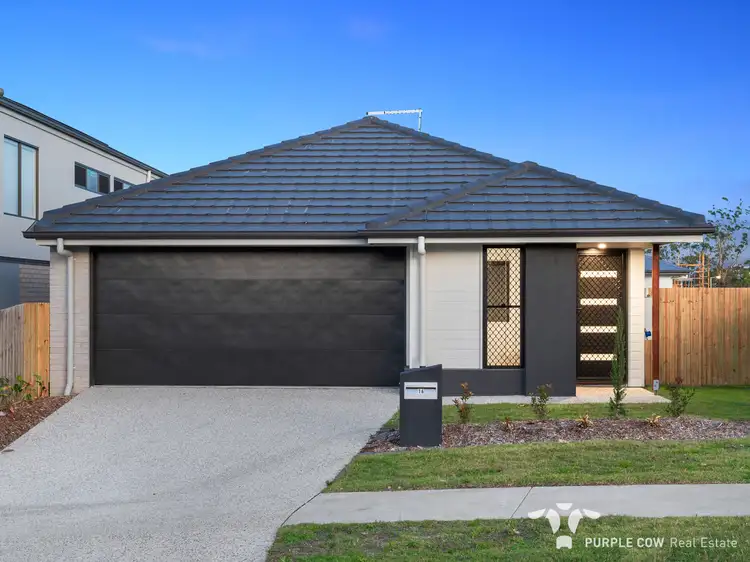 16 Bolte Street, Spring Mountain QLD 4300