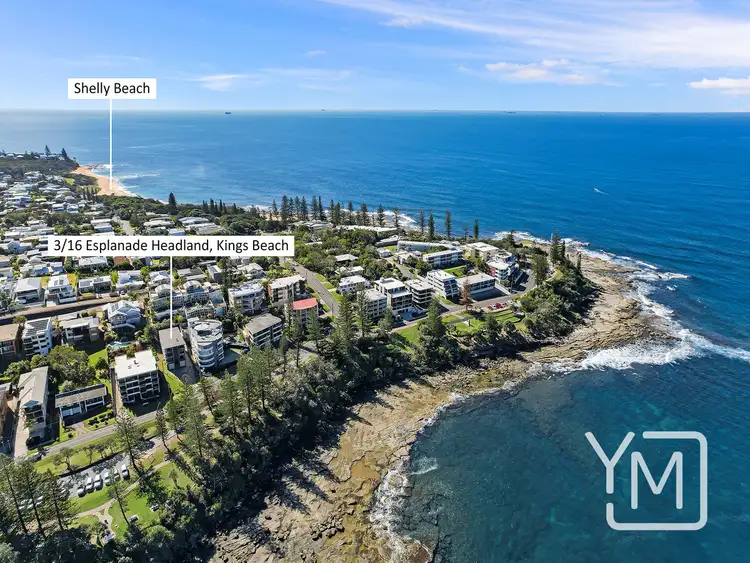 Fifth view of Homely apartment listing, 3/16 Esplanade Headland, Kings Beach QLD 4551