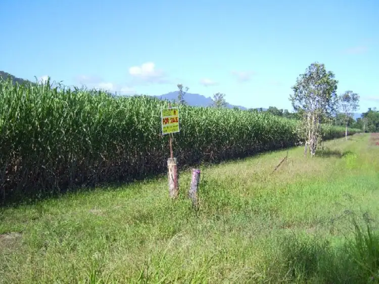 Main view of Homely rural property listing, Copleys Road, Abergowrie QLD 4850