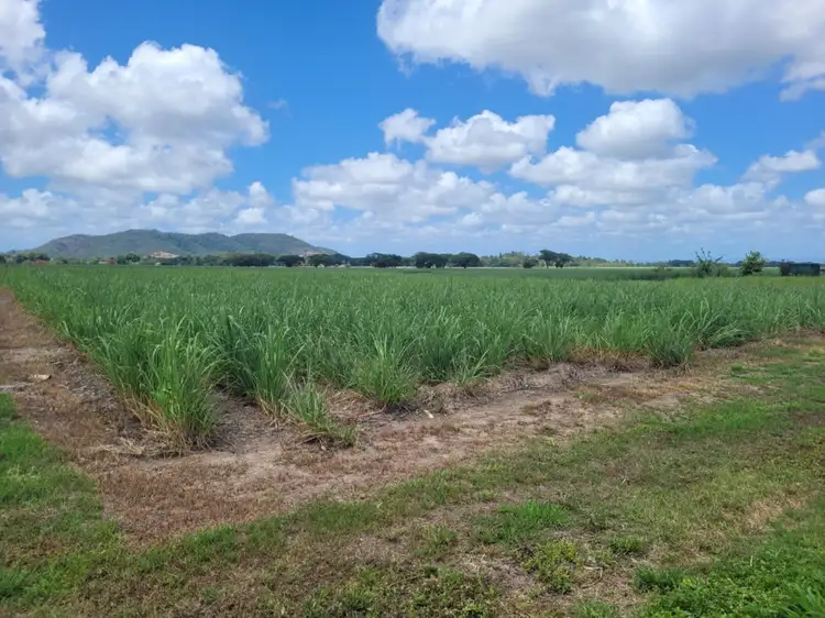 Second view of Homely rural property listing, 19-25 Farrell Drive, Macknade QLD 4850