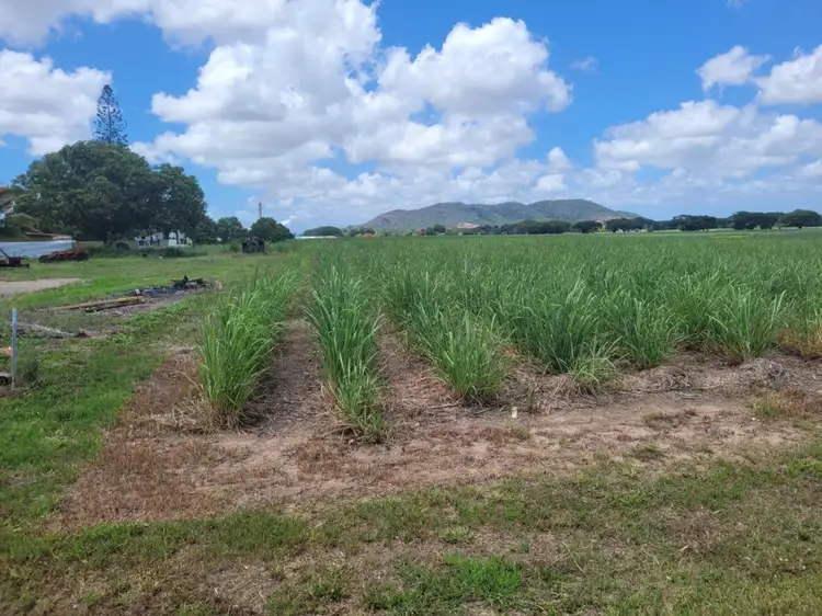 Third view of Homely rural property listing, 19-25 Farrell Drive, Macknade QLD 4850