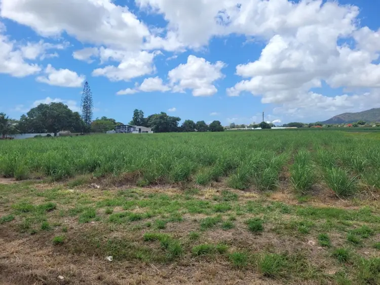 Fourth view of Homely rural property listing, 19-25 Farrell Drive, Macknade QLD 4850
