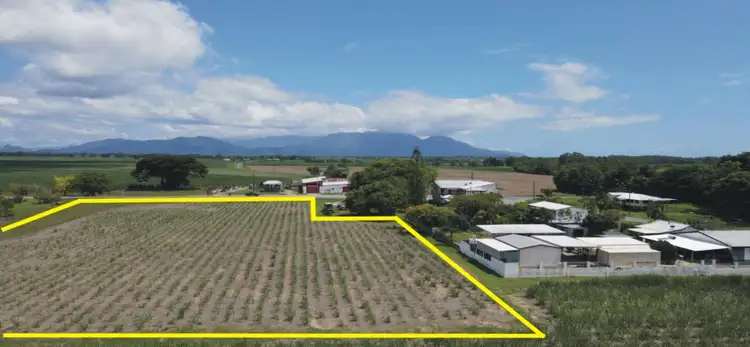 Sixth view of Homely rural property listing, 19-25 Farrell Drive, Macknade QLD 4850