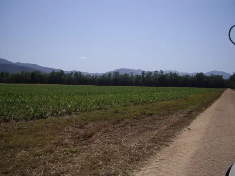 Fifth view of Homely rural property listing, El Alamein Road, Abergowrie QLD 4850