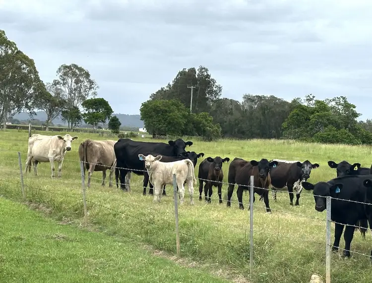 Seventh view of Homely land listing, 15 Dwyers Road, Palmers Island NSW 2463