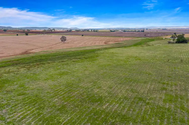 Sixth view of Homely rural property listing, Corner Felton-Clifton Road and Doolan Road, Nobby QLD 4360