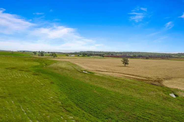Seventh view of Homely rural property listing, Corner Felton-Clifton Road and Doolan Road, Nobby QLD 4360