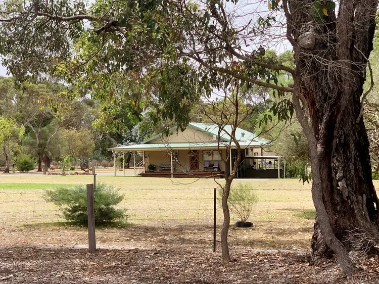 Main view of Homely house listing, 24 Martin Street, Mount Barker WA 6324