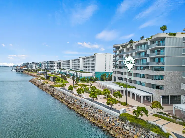 Main view of Homely apartment listing, 205/31 Honeysuckle Drive, Newcastle NSW 2300