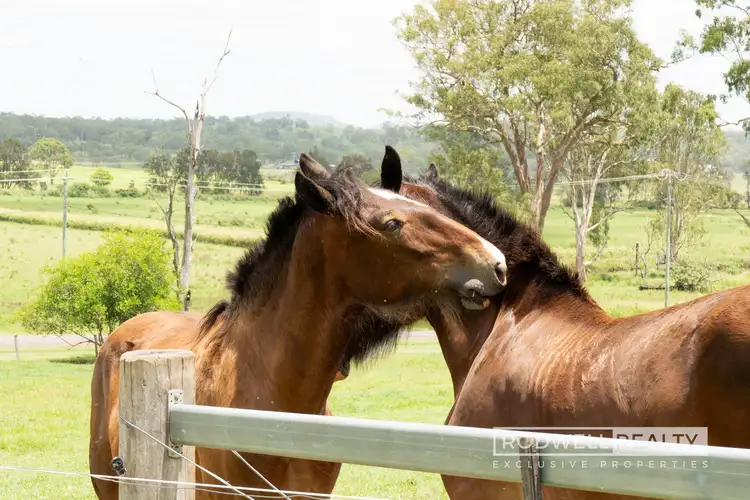 Sixth view of Homely house listing, 1101 Christmas Creek Road, Christmas Creek QLD 4285