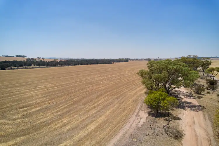 Fourth view of Homely rural property listing, 1608 Northam-pithara Road, Jennapullin WA 6401