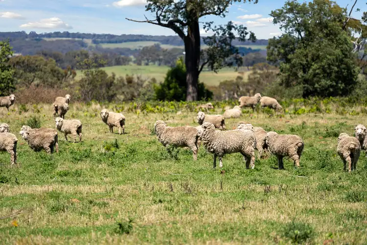 Main view of Homely rural property listing, 169 Boorowa Road, Crookwell NSW 2583