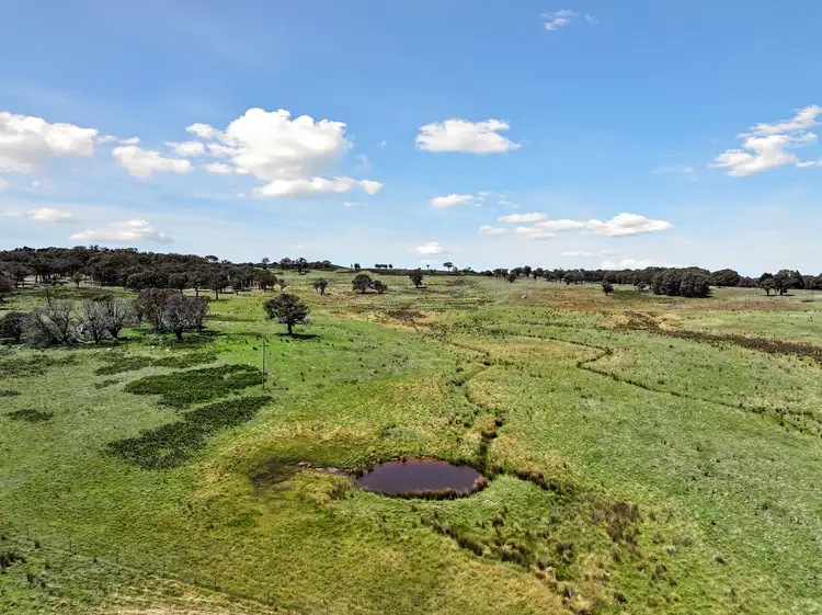 Seventh view of Homely rural property listing, 169 Boorowa Road, Crookwell NSW 2583