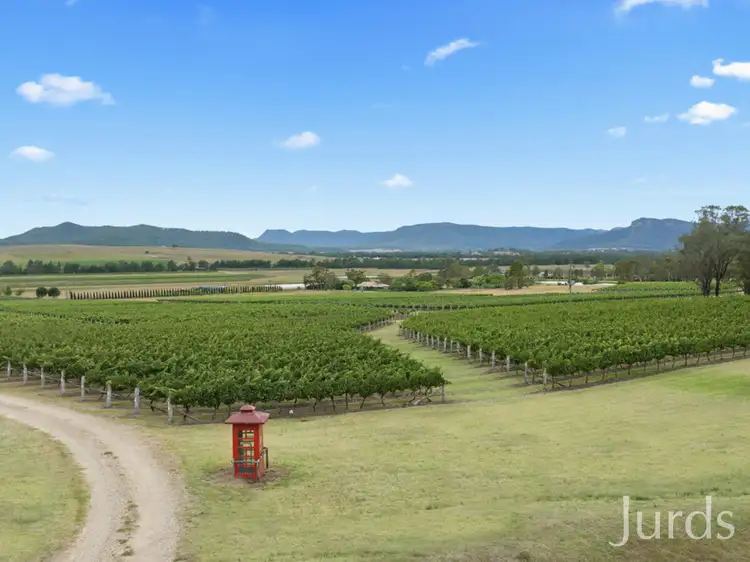 Second view of Homely rural property listing, 656 Milbrodale Road, Broke NSW 2330