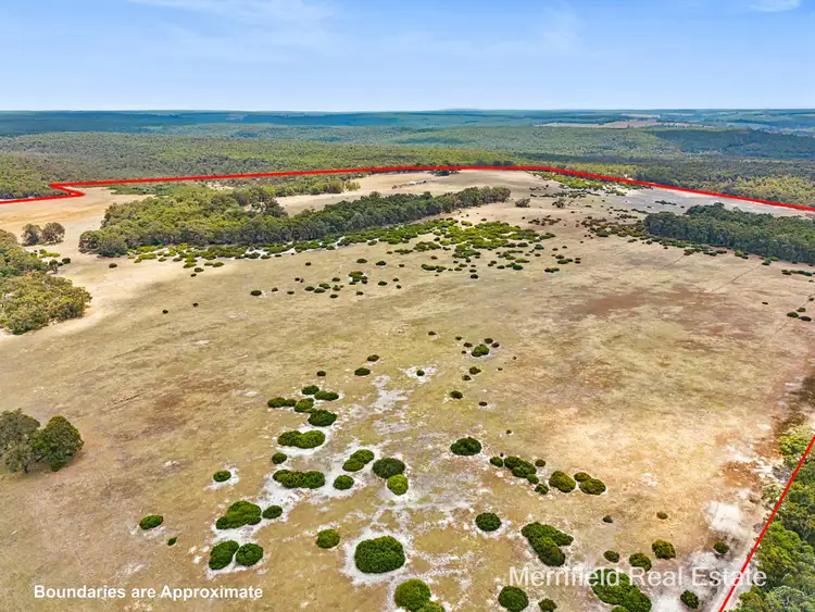 Fourth view of Homely rural property listing, 2274 Denmark-Mount Barker Road, Mount Lindesay WA 6333