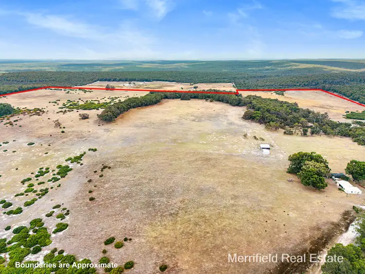 Seventh view of Homely rural property listing, 2274 Denmark-Mount Barker Road, Mount Lindesay WA 6333