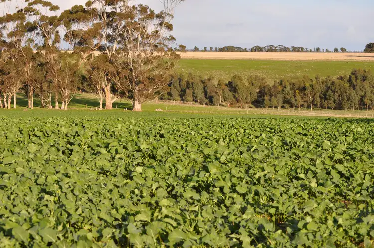 Sixth view of Homely rural property listing, 305 Berrybank-Wallinduc Road, Berrybank VIC 3323