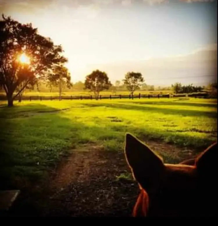 Second view of Homely rural property listing, 35 to 41 Malabar Road, Veresdale QLD 4285